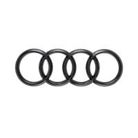 Original Audi schwarze Ringe Emblem e-tron hinten